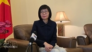 Vietnam works with ASEAN to navigate global turbulence: ambassador